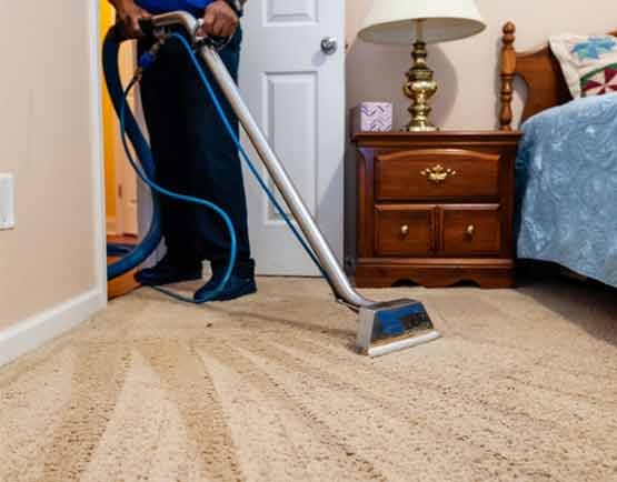 professional carpet cleaning heidelberg